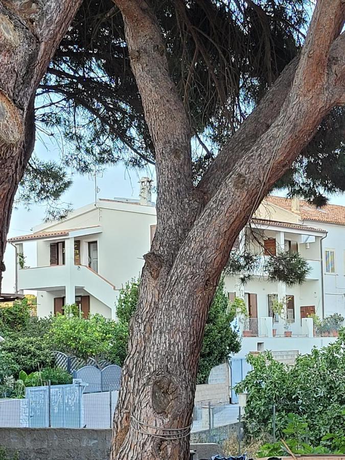 Bed and Breakfast L'Asfodelo La Maddalena  Exterior foto